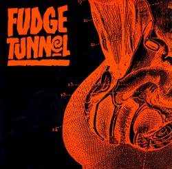 Fudge Tunnel : Fudge Tunnel